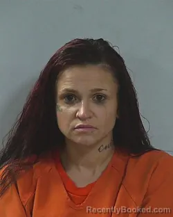 Mugshot of LUCY BRIANNA-MICHELLE TORRES