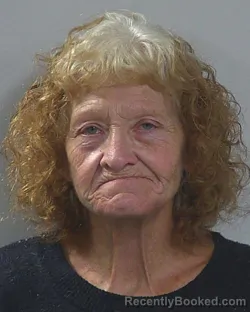 Mugshot of CAMIE LEE ROBERTS