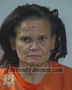 Mugshot of MICHELE LEA BENOIT booked in Canyon County, Idaho on April 2, 2026