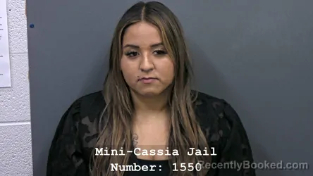 Mugshot of ISELA ARTEAGA JUAREZ booked in Cassia County, Idaho on July 1, 2026