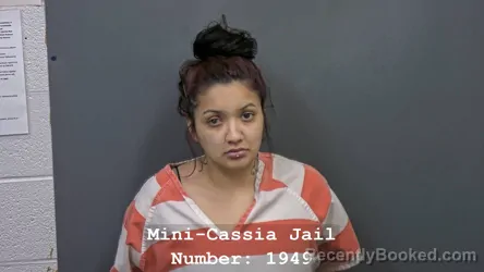 Mugshot of JASMIN BROWN booked in Cassia County, Idaho on July 8, 2026