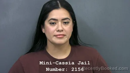 Mugshot of TERESITA J ESTRADA booked in Cassia County, Idaho on July 13, 2026