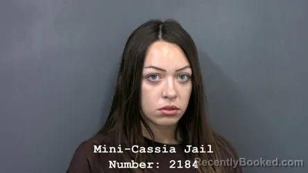 Mugshot of MADELINE AVERY DOMINGUEZ booked in Cassia County, Idaho on July 13, 2026