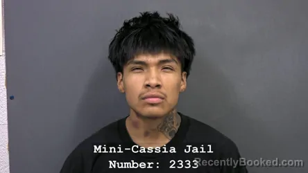 Mugshot of LUIS GONZALES ANALCO booked in Cassia County, Idaho on July 17, 2026