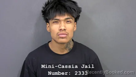 Mugshot of LUIS GONZALES ANALCO booked in Cassia County, Idaho on July 28, 2026