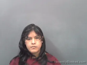 Mugshot of BETHY ALZAMORA-SIMON