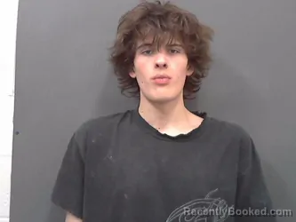 Booking photo from Cassia County, Idaho