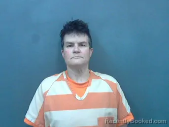 Mugshot of HEATHER L HUTCHINS