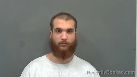Mugshot of AARON NISTOR