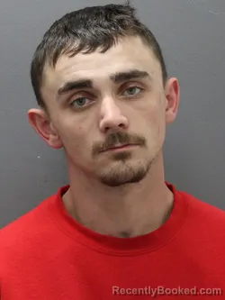 Mugshot of DILLAN BRADLEY DAVIS