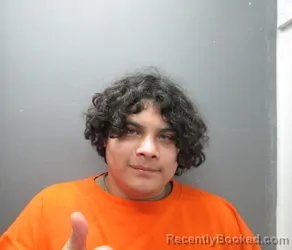 Mugshot of WADE LEE BRONCHEAU