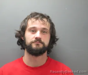 Mugshot of LARS CHRISTIAN NELSON