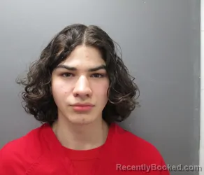 Mugshot of CARLOS ORTUNO PINEDA