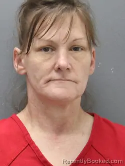 Mugshot of MISTY DAWN SCHMITZ booked in Clearwater County, Idaho on July 6, 2026
