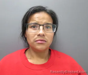 Mugshot of MIKAYLA SHANICE AASE CALKINS booked in Clearwater County, Idaho on July 6, 2026