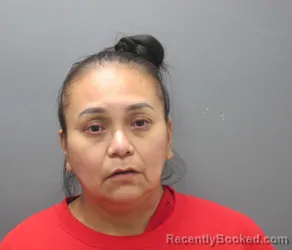Mugshot of CHARLOTTE HATTIE ELLENWOOD booked in Clearwater County, Idaho on July 9, 2026