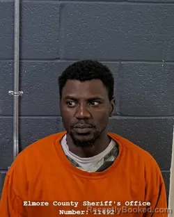 Mugshot of Abdi Mberwa Nuro booked in Elmore County, Idaho on September 15, 2026