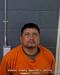 Mugshot of Cesar Javier Sanabria-Aliaga booked in Elmore County, Idaho on September 30, 2026