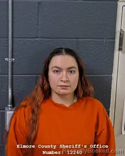 Mugshot of Janaeah Imani Camper booked in Elmore County, Idaho on October 6, 2026