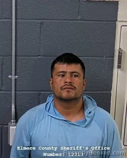 Mugshot of Cesar Joel Cortez-Cortez booked in Elmore County, Idaho on October 8, 2026