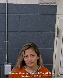 Mugshot of Millenne Pardo Villavicencio booked in Elmore County, Idaho on October 23, 2026