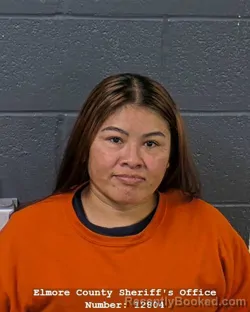 Mugshot of Yesenia Teofilo Borjas booked in Elmore County, Idaho on October 23, 2026
