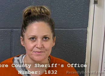 Mugshot of CHELSEY RENEE DAVIS booked in Elmore County, Idaho on July 29, 2026
