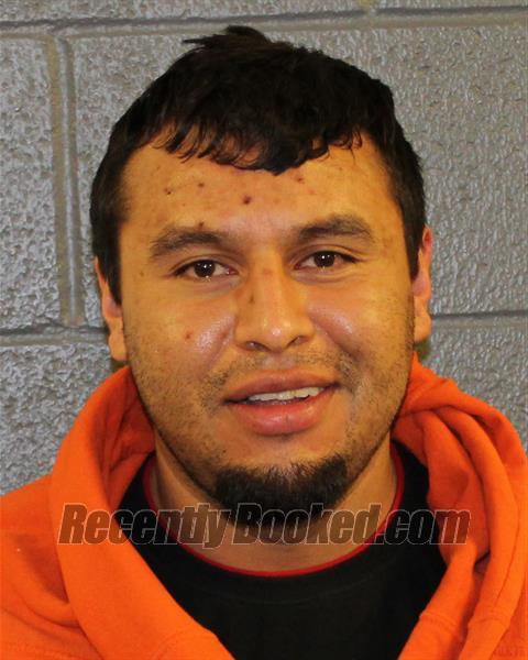 Booking photo from Elmore County, Idaho