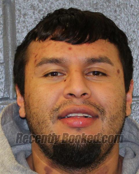 Booking photo from Elmore County, Idaho