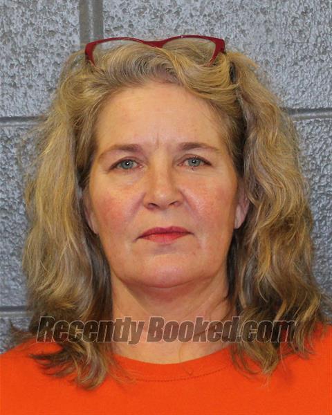 Booking photo from Elmore County, Idaho