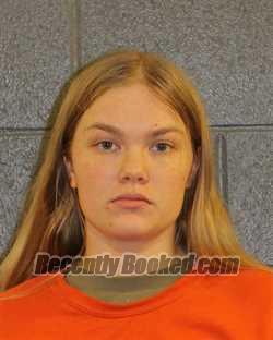 Booking photo from Elmore County, Idaho