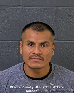 Mugshot of ELIAS GONZALEZ-MARCIAL booked in Elmore County, Idaho on July 22, 2026