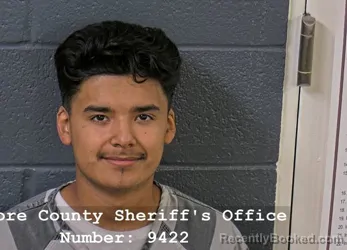 Mugshot of DOMINIC I GARZA booked in Elmore County, Idaho on July 24, 2026