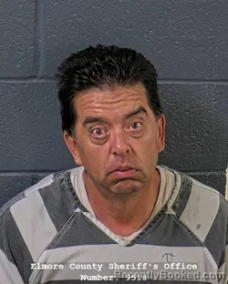Mugshot of MICHAEL ANTHONY WATASH HANSEN booked in Elmore County, Idaho on July 26, 2026