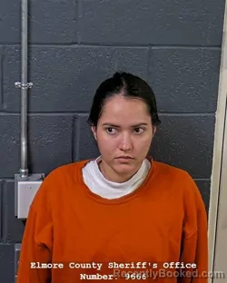 Mugshot of NATALIA VANESSA AREVALO ORTEGA booked in Elmore County, Idaho on July 29, 2026