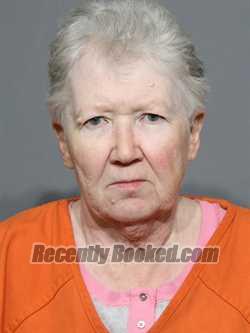 Booking photo from York County, South Carolina