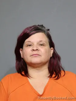 Mugshot of Jimmie Jaren Bolin