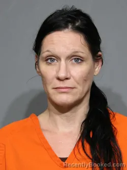 Mugshot of Amanda Lynn Graham