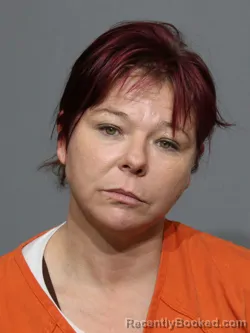 Booking photo from York County, South Carolina