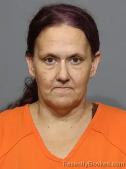 Mugshot of Tonya Lynn Spivey