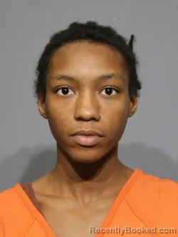 Mugshot of Erionna Lenee Johnson