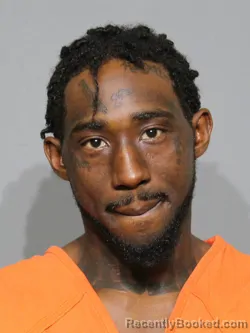 Booking photo from York County, South Carolina