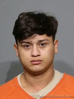 Mugshot of Jorge Andre Ordonez-Baquedano