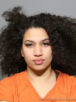 Mugshot of Shakira Nicole Ortiz