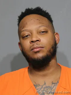 Mugshot of Dominique Tyrell Fisher