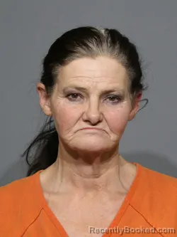 Mugshot of Rebecca Diane Rogers