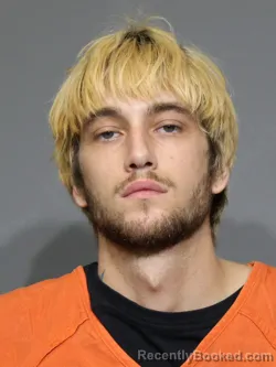 Mugshot of Marley Preston Dockery