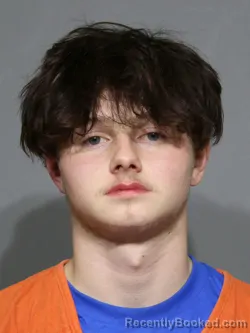 Mugshot of Christopher Gage Lewis