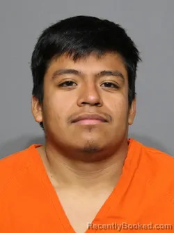 Mugshot of Alberto Loaeza-Martines