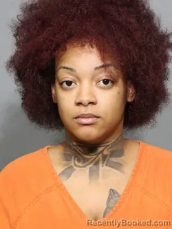 Mugshot of Destiny Reality Rogers